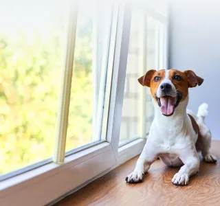 Мультифункциональное стекло — что это такое? - фото